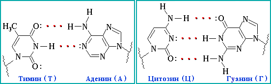 Комплементарные пары